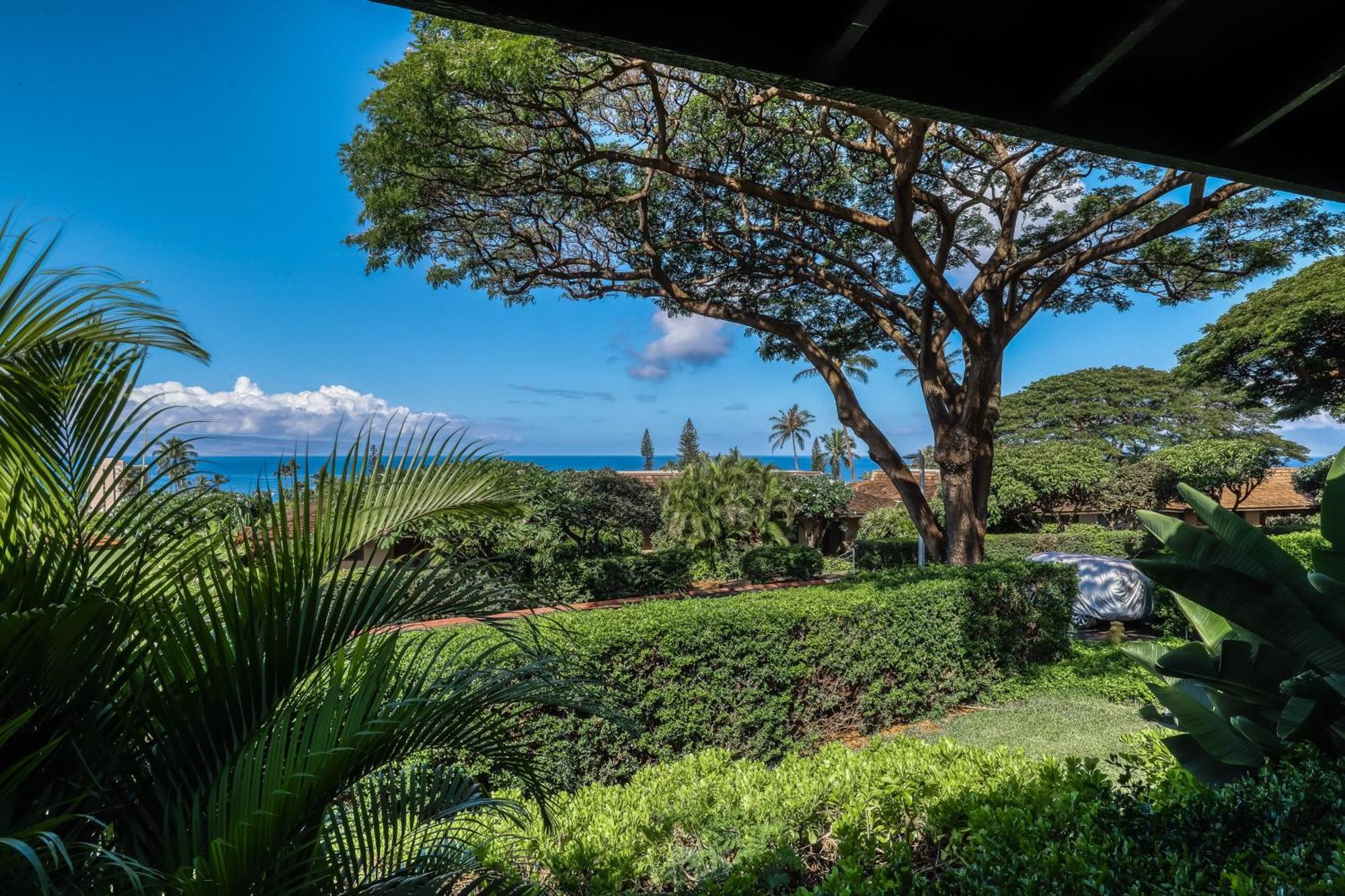 Kaanapali Plantation Condominiums Номер фото